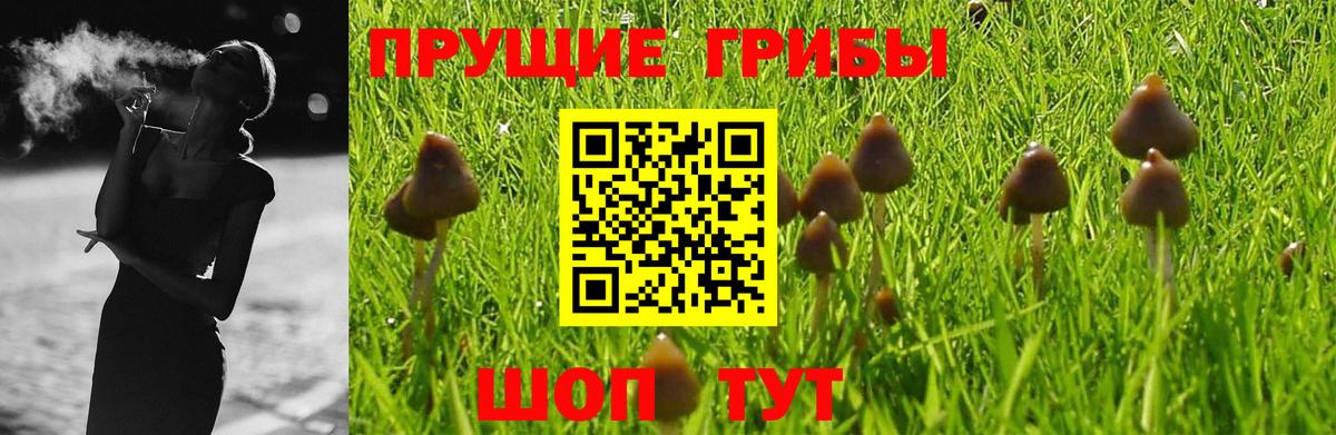 Псилоцибиновые грибы Psilocybine cubensis  Вход с VPN  Ногинск  Галлюциногенные грибы Cubensis 
